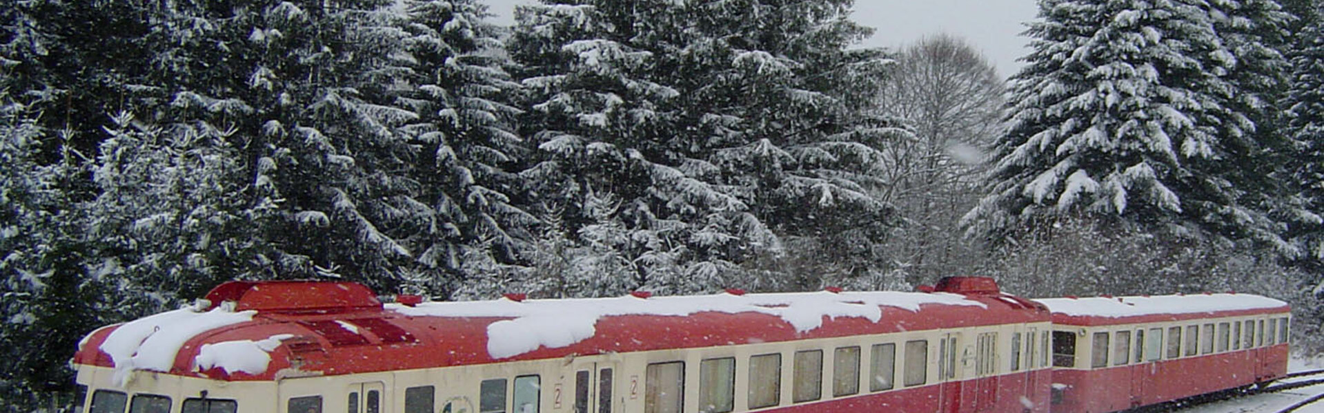 Le gentiane Express : petit train de montagne dans le cantal